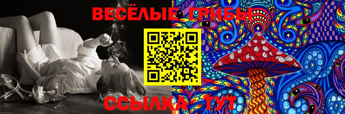 Галлюциногенные грибы Magic Shrooms  Псилоцибиновые грибы мицелий  Вход с VPN  Луга 