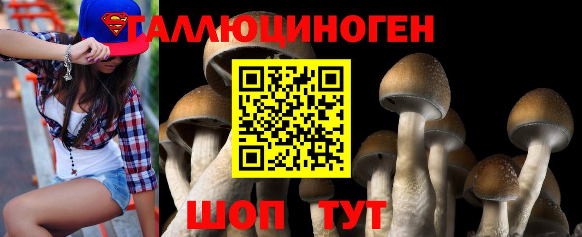 Псилоцибиновые грибы Magic Shrooms Луга